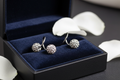Boucles d’oreilles 316l
